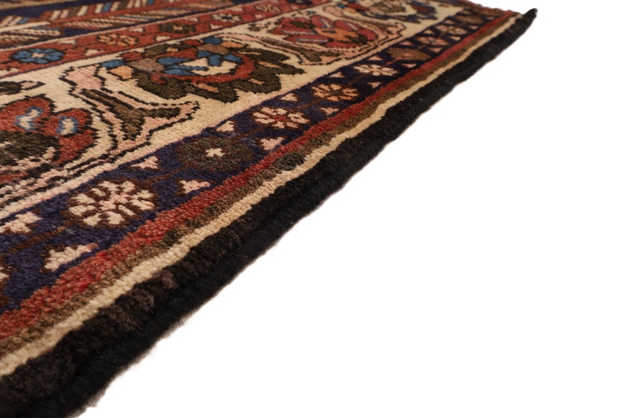BAKHTIAR Carpet  218x145