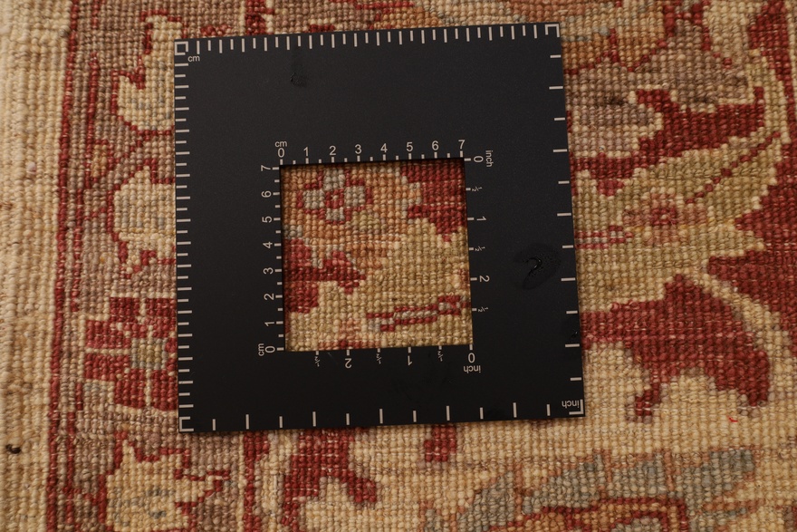 Ziegler Carpet  258x173