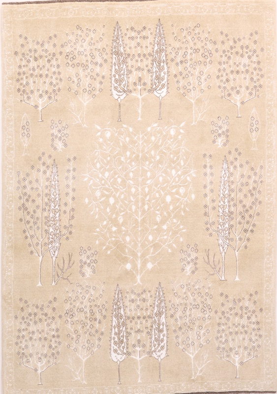 MODERN carpet 240x166