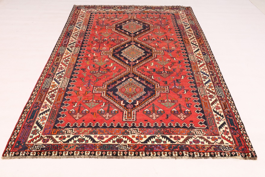 Schiraz 259x157
