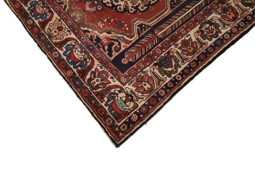 BAKHTIAR Carpet  218x145