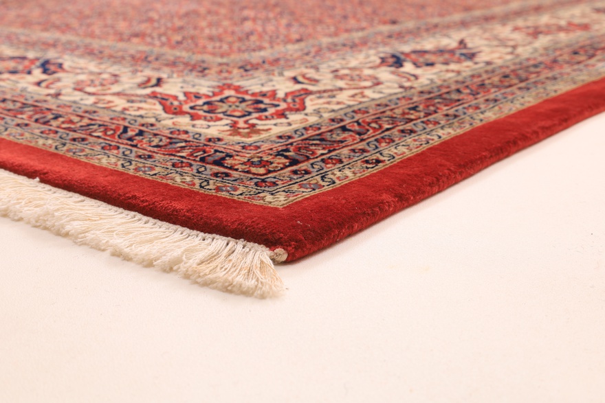 BIDJAR Carpet 252x254