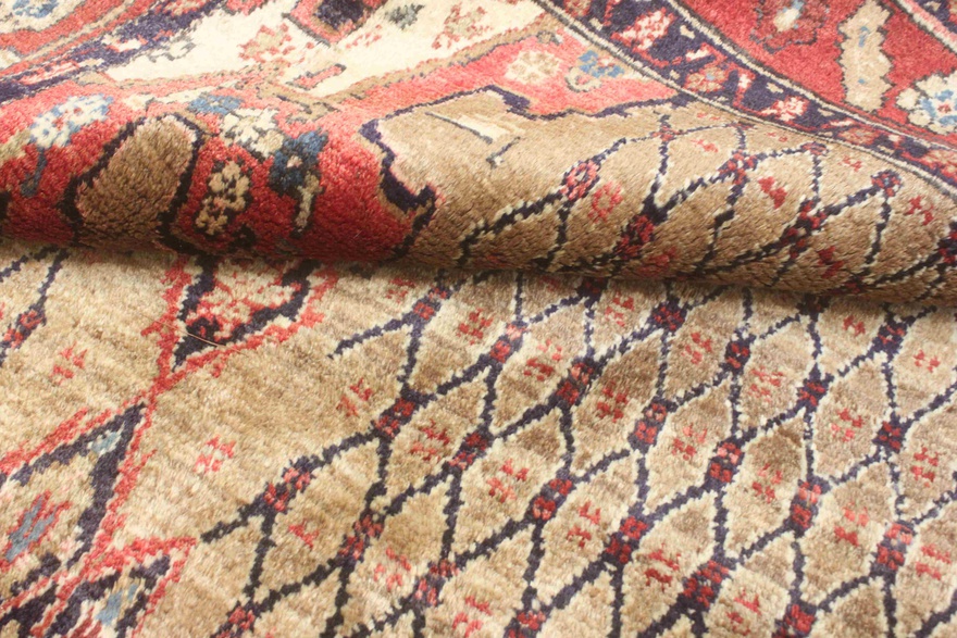 Koliaei Carpet 289x148
