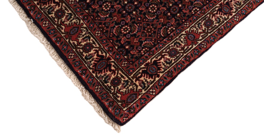 Bidjar Carpet  300x84