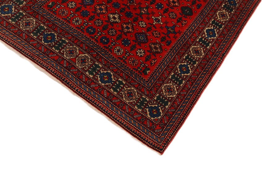 Shirwan Carpet 200x129