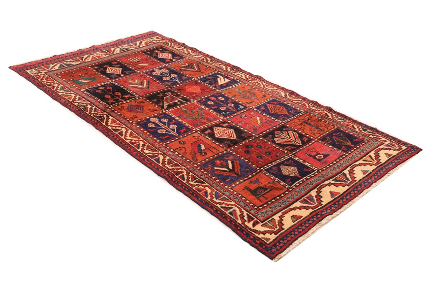 KOLIYAI Carpet 280x142