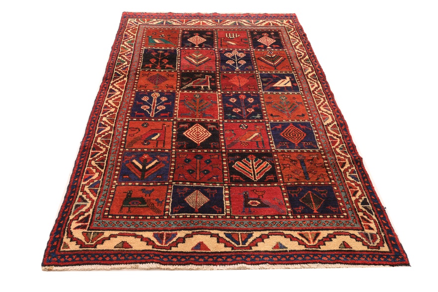 KOLIYAI Carpet 280x142