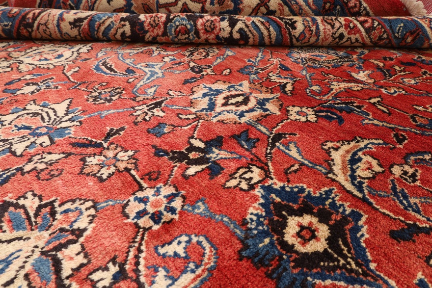 Sarouk Carpet 513x290