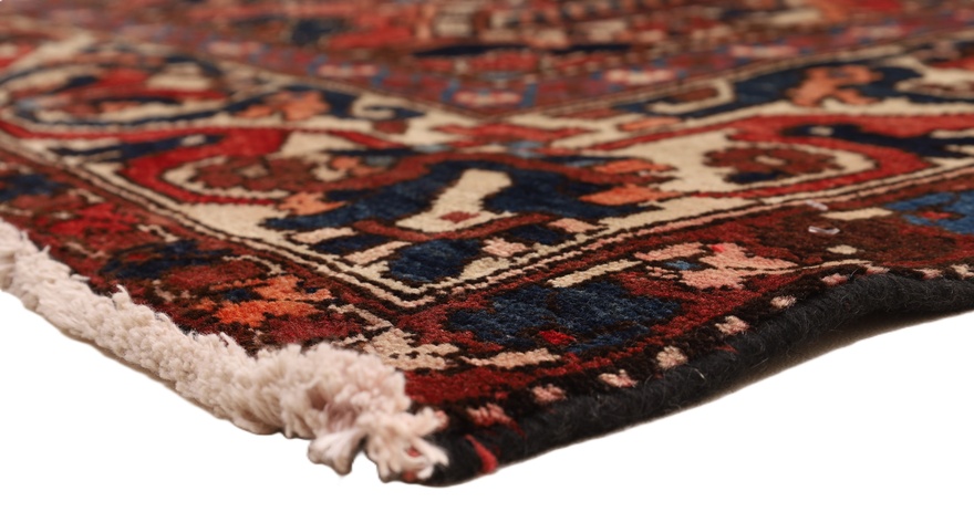 BAKHTIAR Carpet 306x154