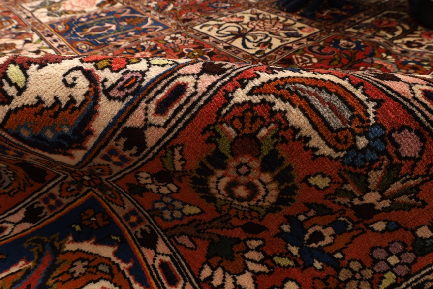 BAKHTIAR Carpet 305x204