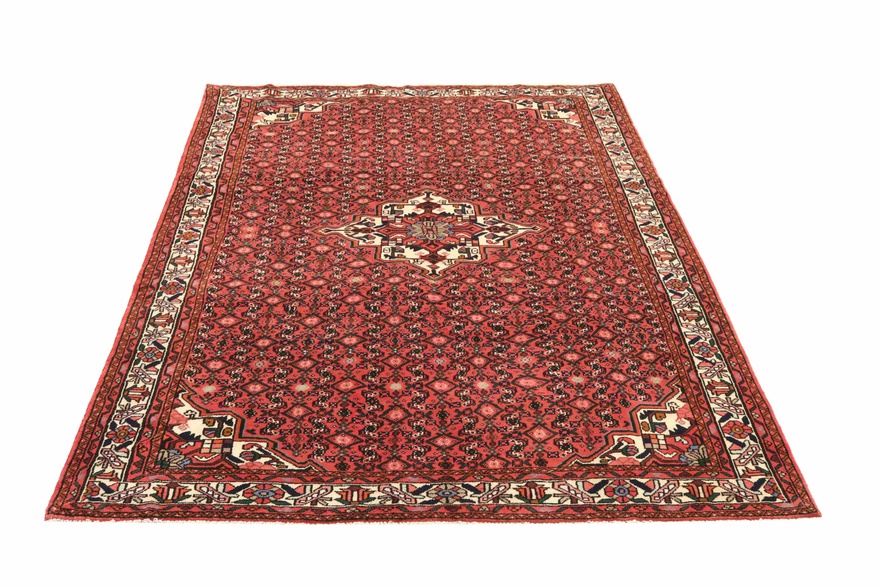 HOSENABAD Carpet 294x195