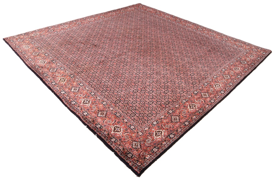 Bidjar Carpet 255x255