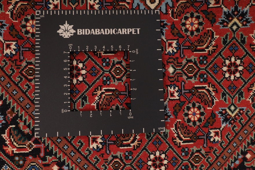 BIDJAR Carpet  185x109