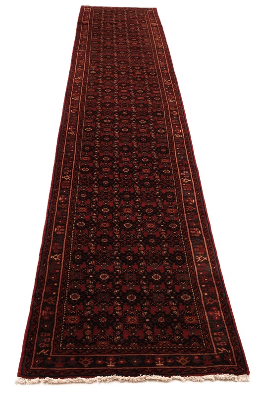 Hamadan Carpet 460x92