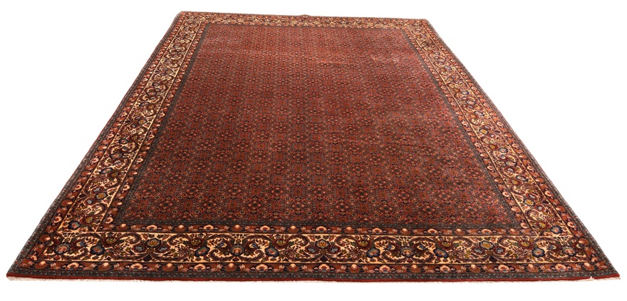 BIDJAR Carpet 343x257