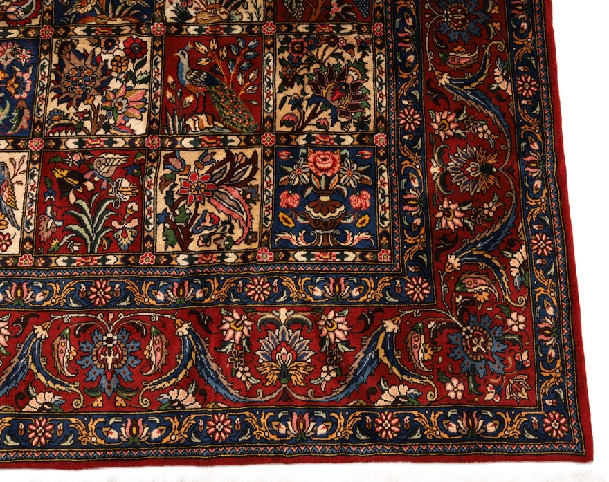 BAKHTIAR Carpet 370x253