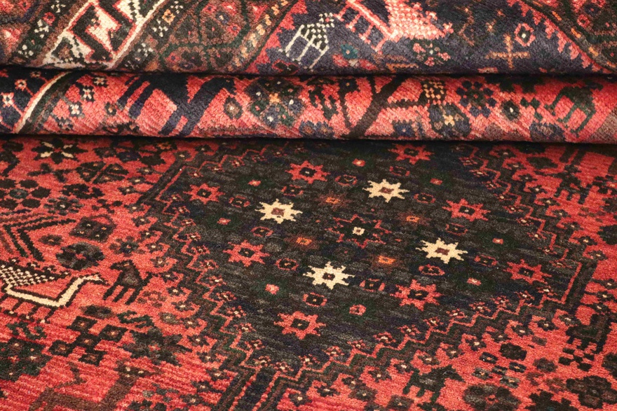 Ghashghai Carpet 295x190