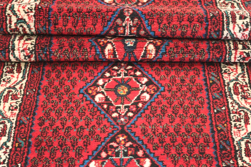 Hamadan Carpet  509x75