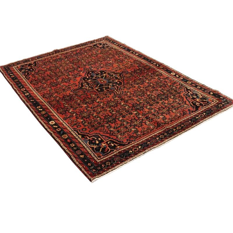 Hosenabad Carpet 245x172