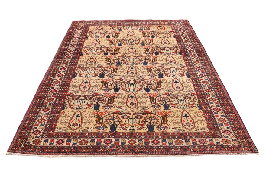 Azrbeijan Carpet 254x169