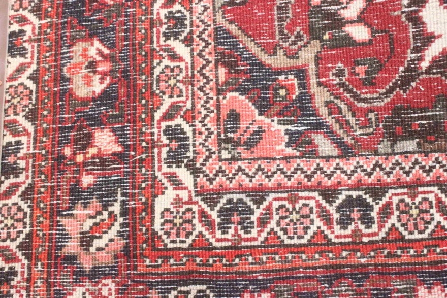 Bakhtiar 126x103