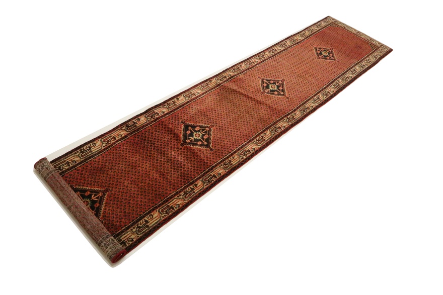 Hamadan Carpet 395x82