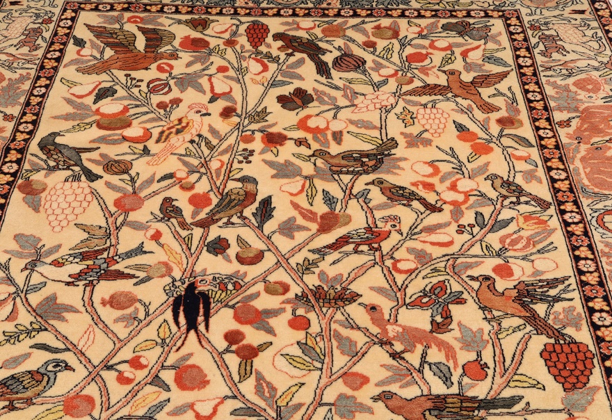 Ghutshan Carpet  172x130