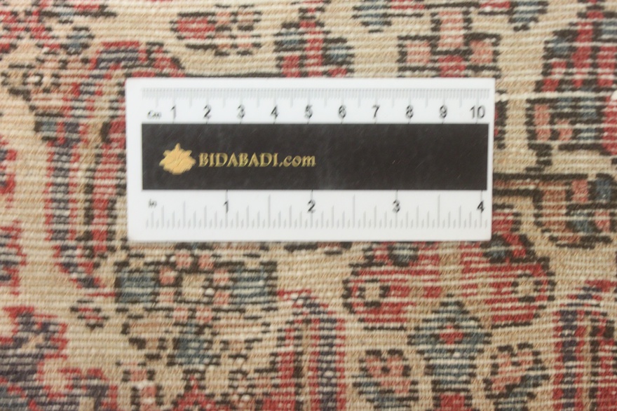 Rudbar Carpet 259x80