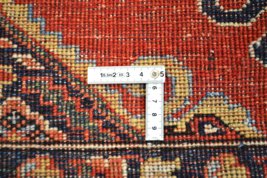 Ariana Carpet  319x87