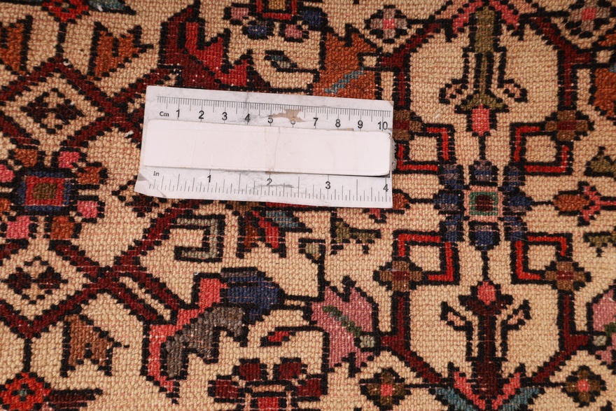 Rudbar Carpet  208x88