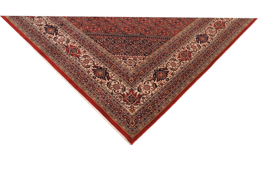 BIDJAR Carpet 248x250