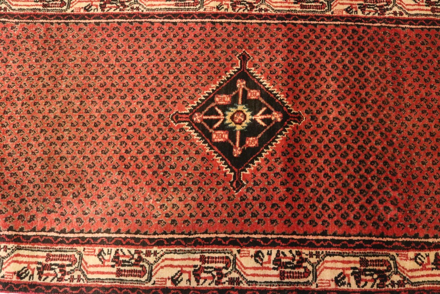 Hamadan Carpet 395x82