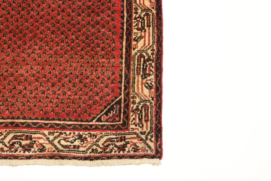 Hamadan Carpet 395x82