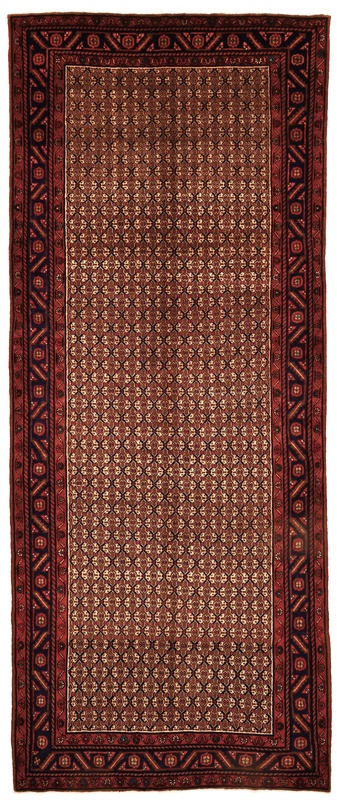Koleyai Carpet 376x154