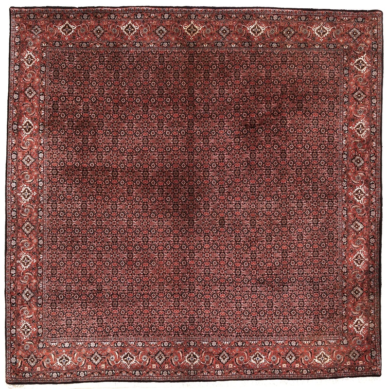 Bidjar Carpet 255x255