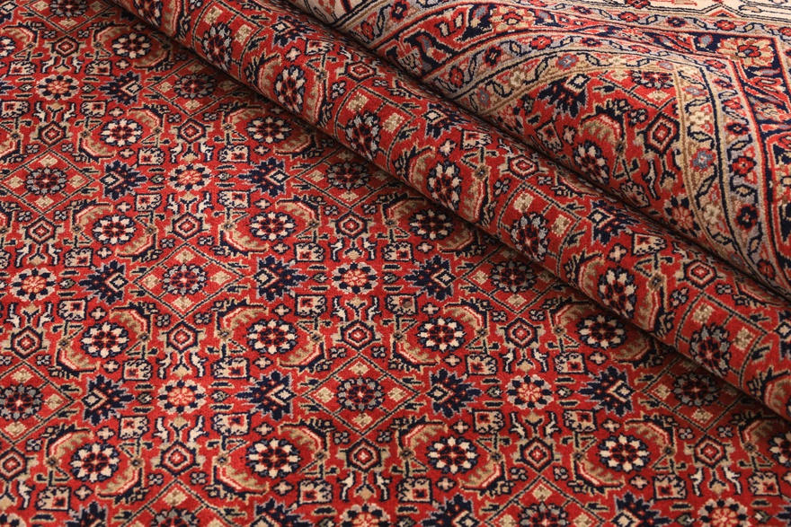 BIDJAR Carpet 252x254