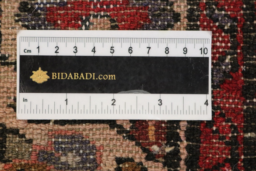 Hamadan Carpet 300x113