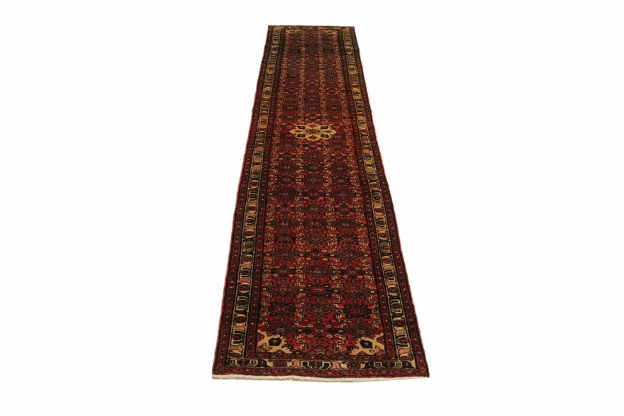Hosenabad Carpet 365x77