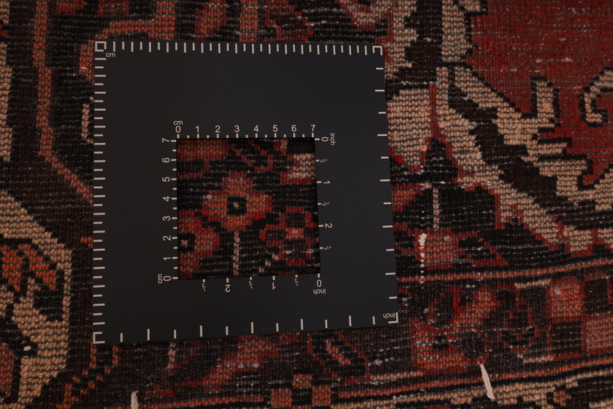 BAKHTIAR Carpet  299x210