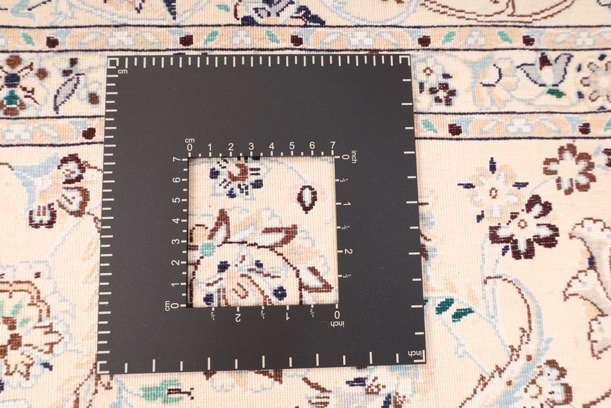 NAIN 6 LA  Carpet  247x168