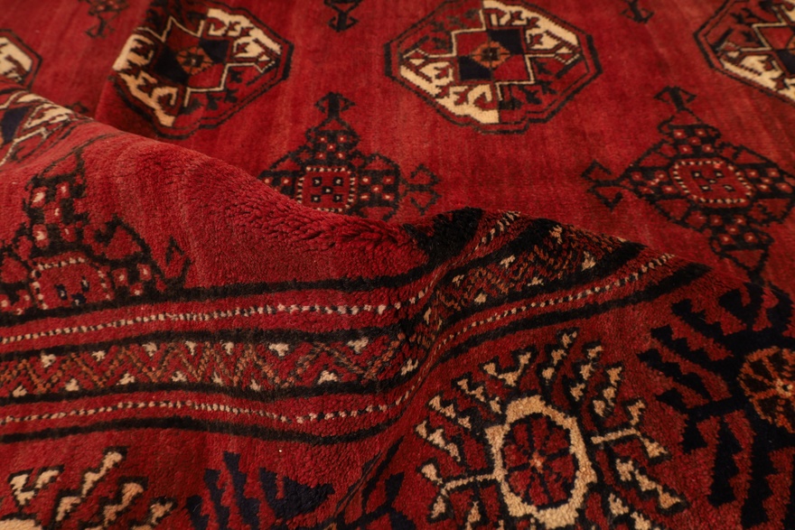Turkaman Carpet 290x195