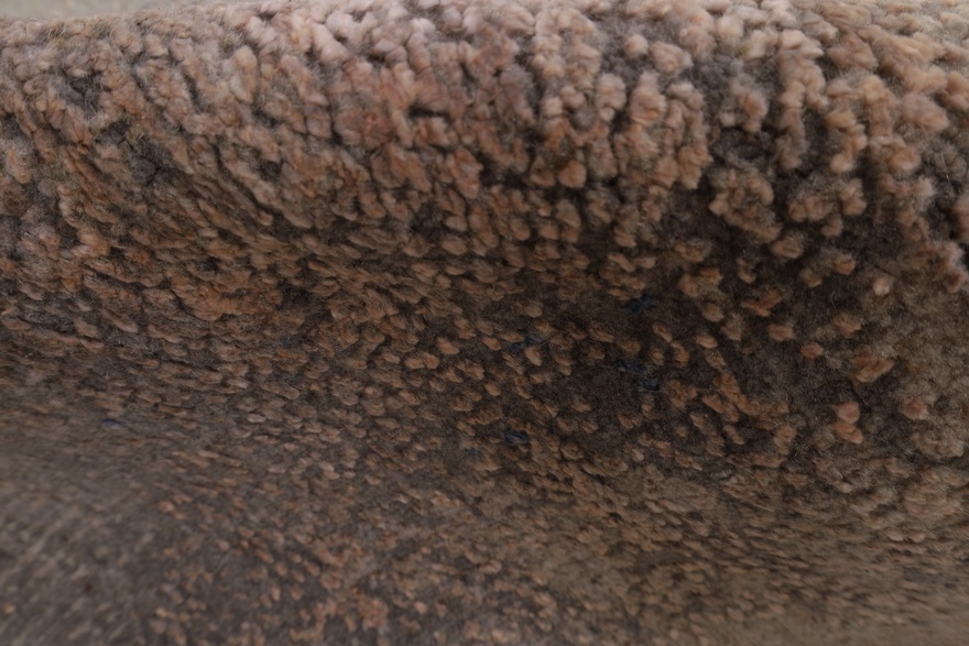 MODERN LOTUS Carpet 241x171