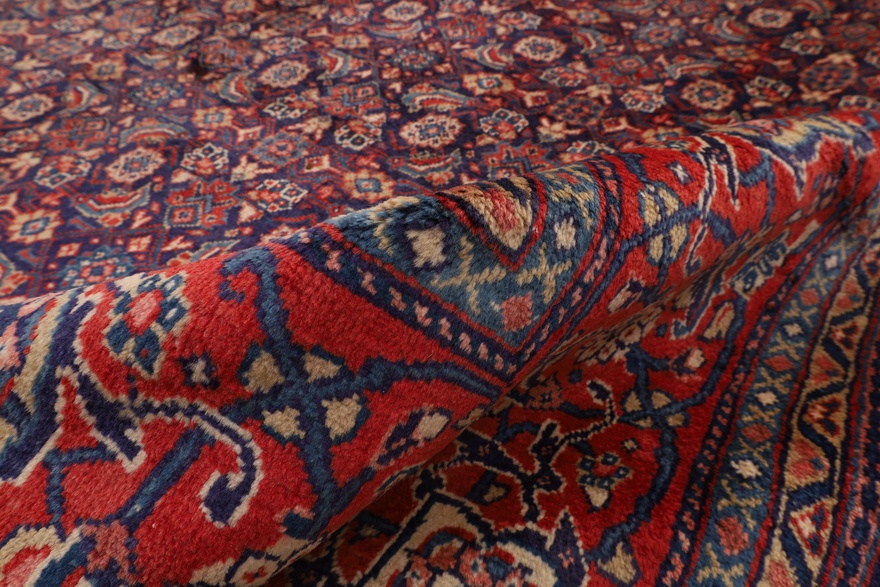 Sarouk Carpet  530x310