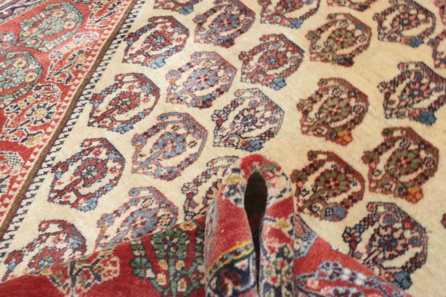 kashkoli  Carpet 247x149