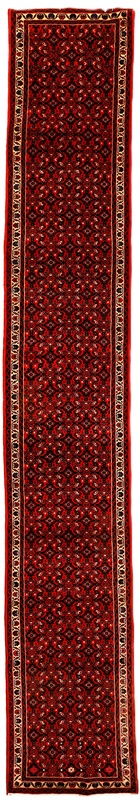 HOSEANABAD Carpet  480x75