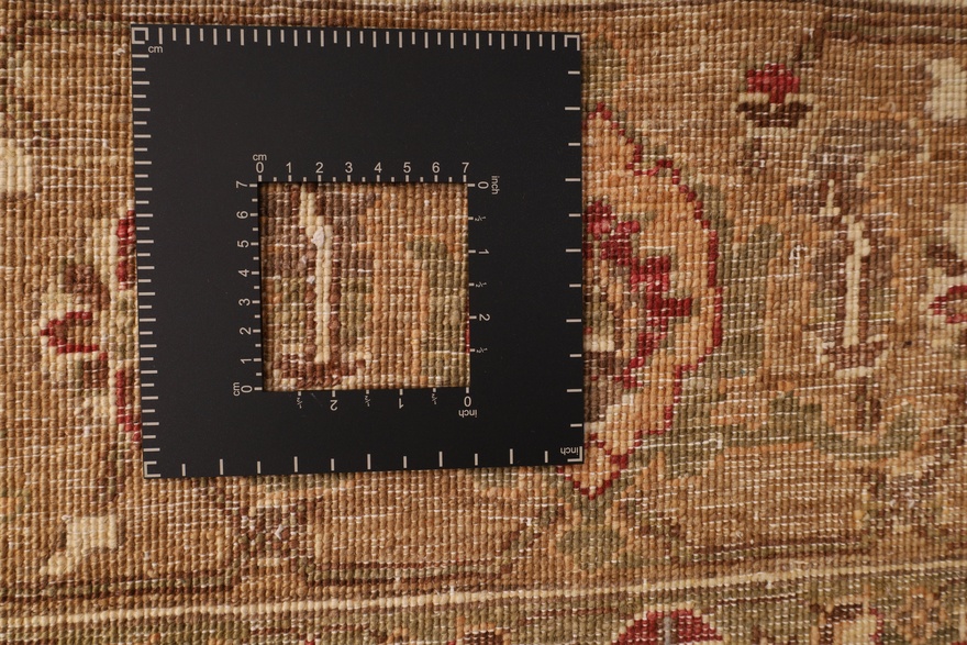 ZiglerCarpet 350x260