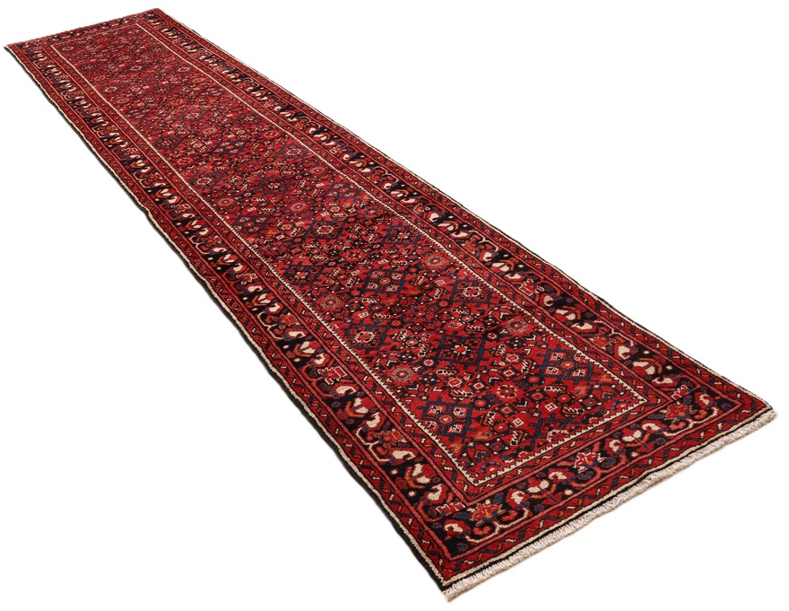 Hamadan Carpet 390x80
