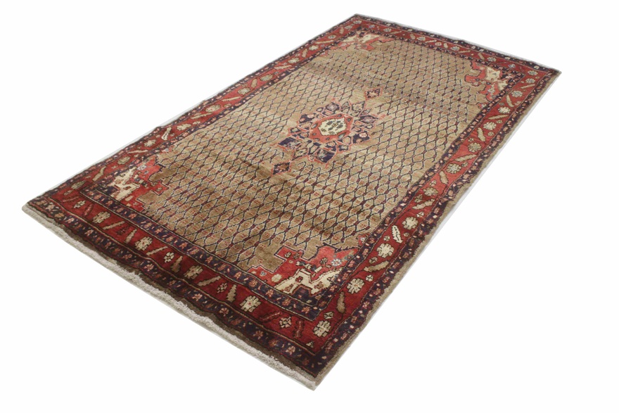 Koliaei Carpet 289x148