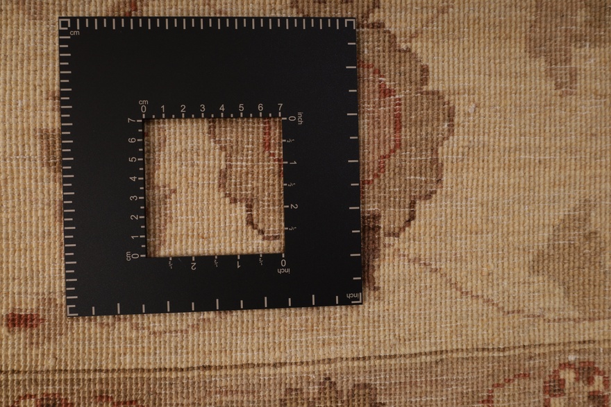 ZiglerCarpet 297x249