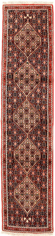 Bidjar  Carpet 255x57